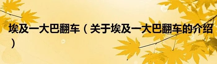 埃及一大巴翻车（关于埃及一大巴翻车的介绍）