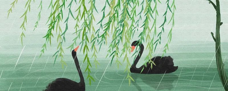 五九六九沿河看柳是什么意思 五九六九河边看柳是指