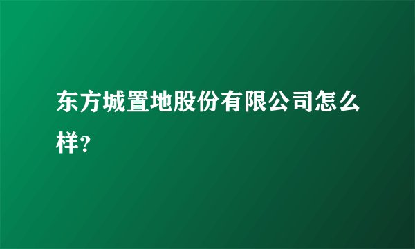 东方城置地股份有限公司怎么样？