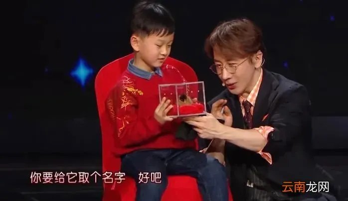 刘谦怎么没有消息了？ 刘谦怎么啦？