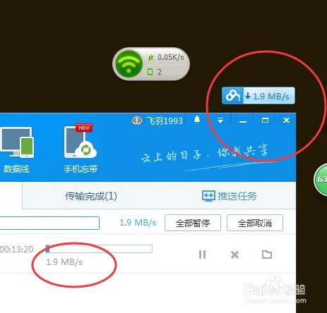 一般去哪里下载最新电影？
