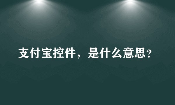支付宝控件，是什么意思？