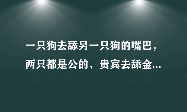 一只狗去舔另一只狗的嘴巴，两只都是公的，贵宾去舔金毛，这是什么意思？