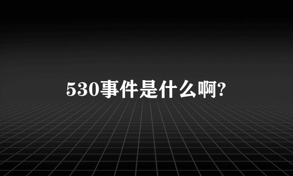 530事件是什么啊?