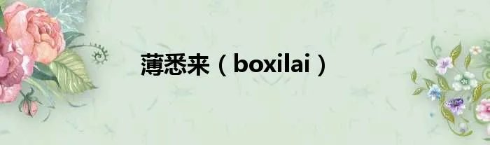 薄悉来（boxilai）