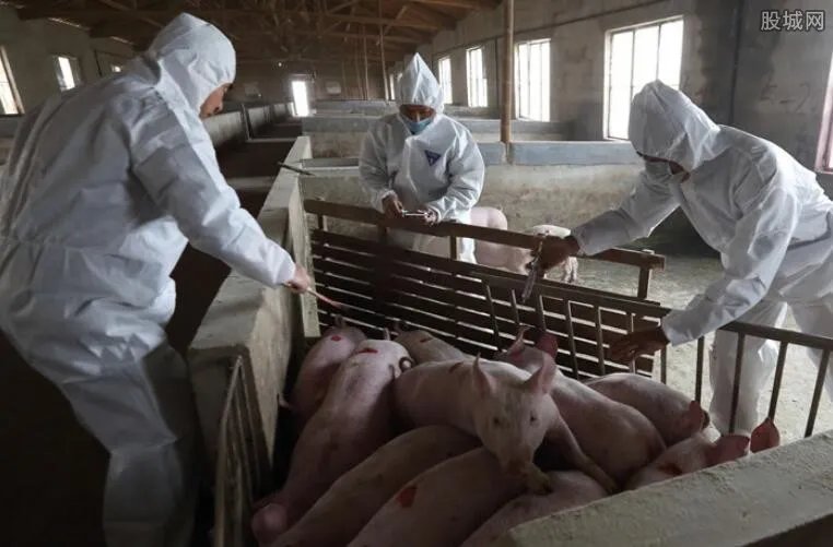 三全食品涉猪瘟门 相关产品已经被封存