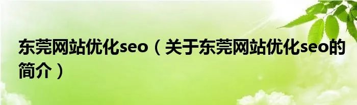 东莞网站优化seo（关于东莞网站优化seo的简介）