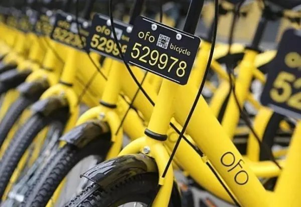 男孩骑小黄车身亡案开庭事情的结果是怎样的？