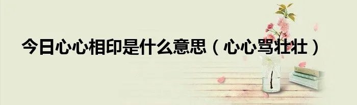 今日心心相印是什么意思（心心骂壮壮）