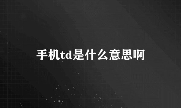 手机td是什么意思啊