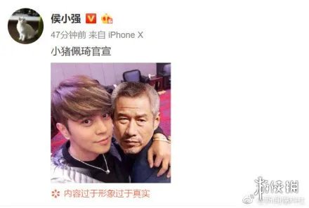 刘佩琦佩琦本琦是什么梗 啥是佩奇短片表情包分享大全汇总