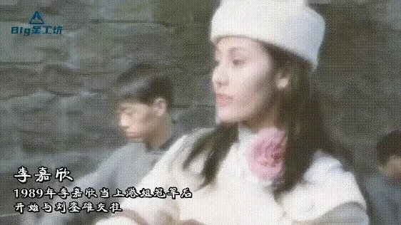 洪欣肉丸子事件是真的吗？洪欣和刘銮雄什么关系