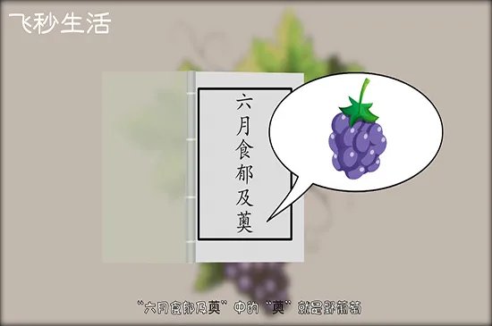 中国种植葡萄始于