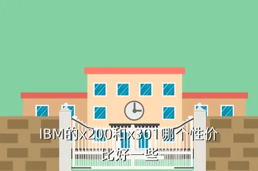 ibm x301,新款ibm X301