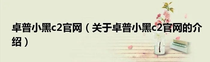 卓普小黑c2官网（关于卓普小黑c2官网的介绍）