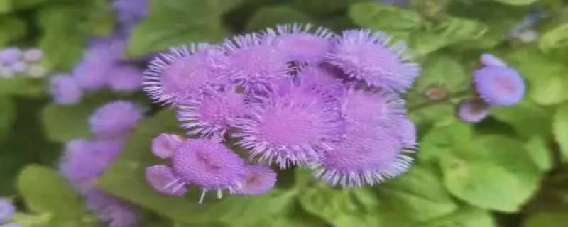 qq炫舞名字带符号 带符号的qq炫舞名字