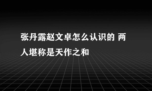 张丹露赵文卓怎么认识的 两人堪称是天作之和
