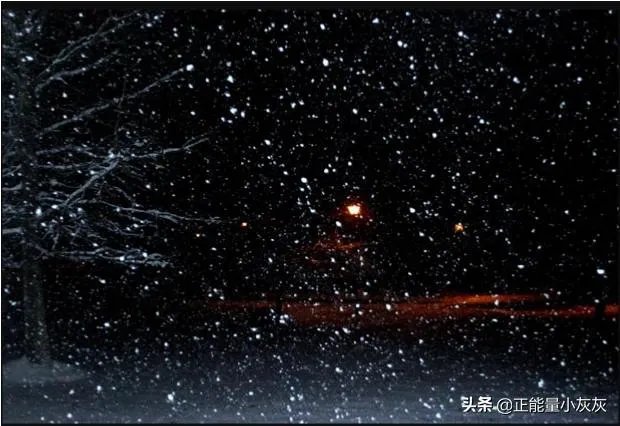 关于雪的优美诗句？