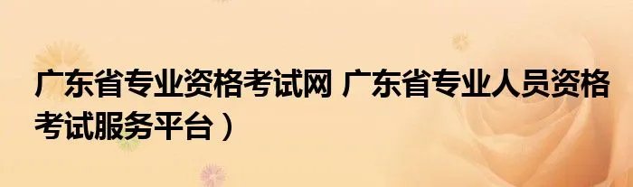 广东省专业资格考试网 广东省专业人员资格考试服务平台）