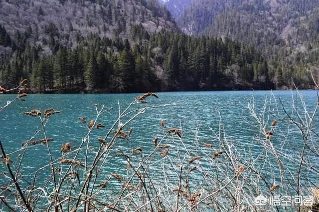 3月份最适合旅游的地方是哪里？