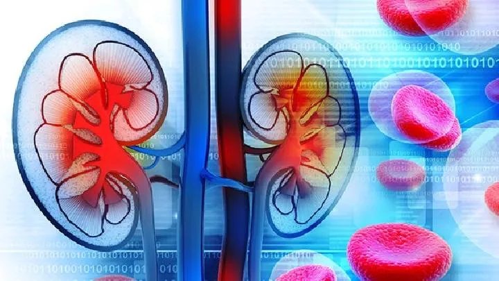 浅析尿毒症用药指导