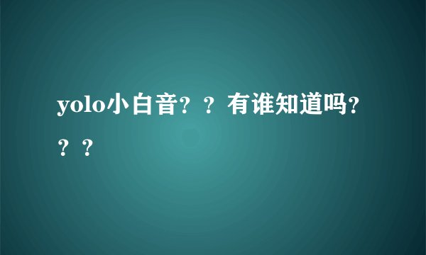 yolo小白音？？有谁知道吗？？？