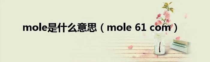mole是什么意思（mole 61 com）