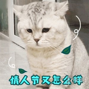 214情人节表情包搞笑图片 情人节搞笑表情包大全