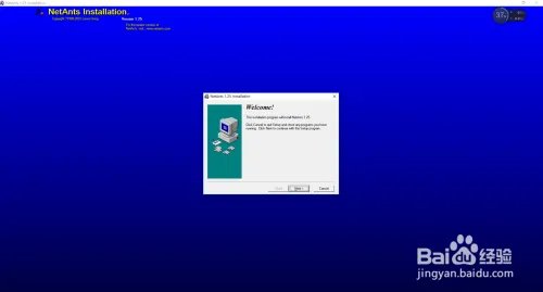 网络蚂蚁怎么用