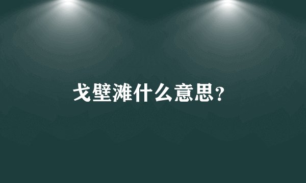 戈壁滩什么意思？