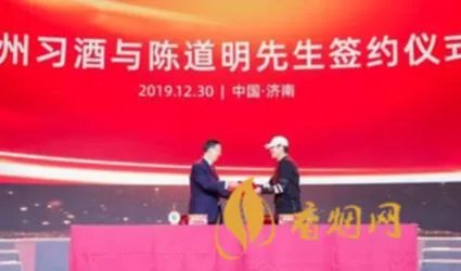 陈道明代言的白酒中哪一款最值得尝试？