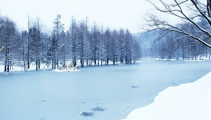 一九二九不出手三九四九冰上走的意思 一九二九不出手三九四九冰上走的意思是