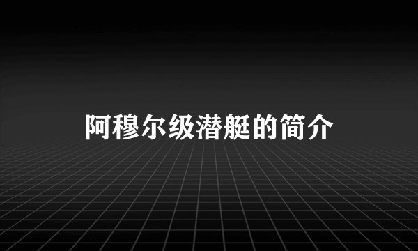 阿穆尔级潜艇的简介
