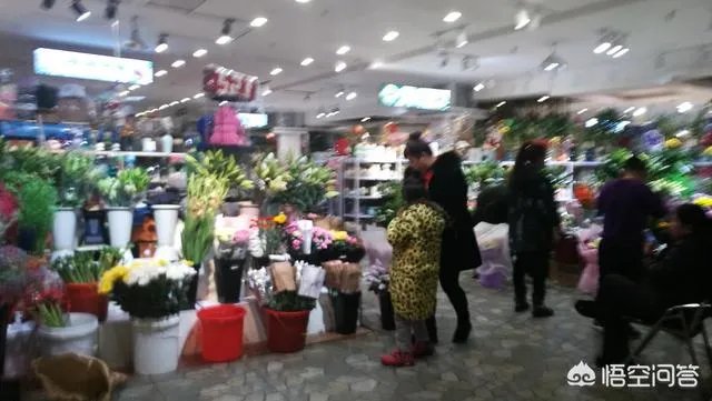 长春有哪些花鸟鱼市场？