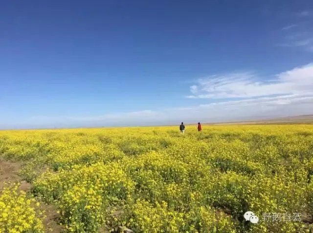 第一次弄自驾游路书，怎么制作自驾游路书啊？