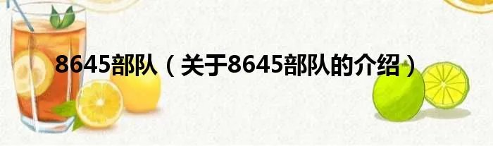 8645部队（关于8645部队的介绍）