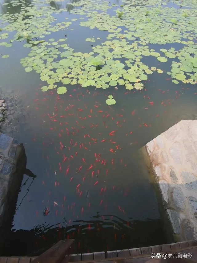 如何评价《叶问4》完结篇？