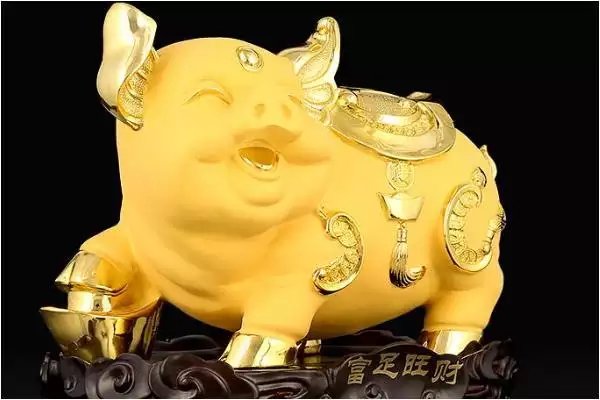 71年属猪48岁命运，1971年属猪是什么命 1971年出生人的命运