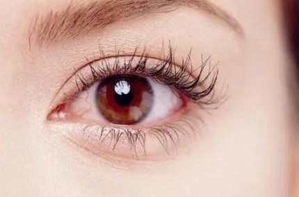 去鱼尾纹要多少钱