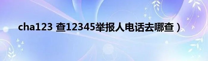 cha123 查12345举报人电话去哪查）