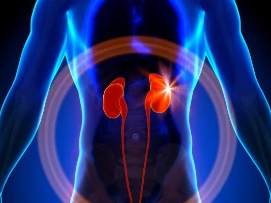 肾脏病预防方法