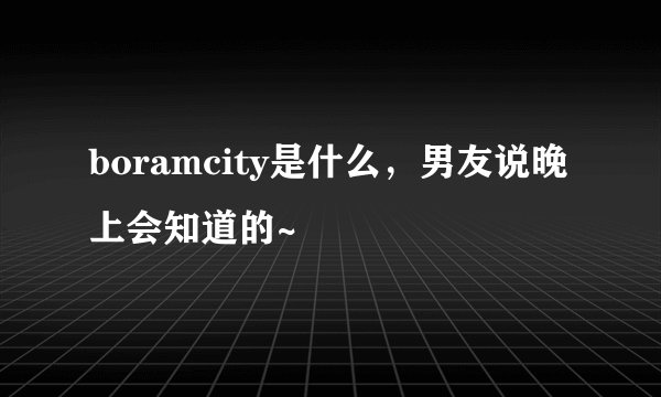 boramcity是什么，男友说晚上会知道的~
