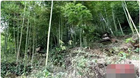 湖南郴州发现墓塔林了吗？