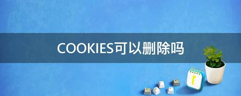 COOKIES可以删除吗