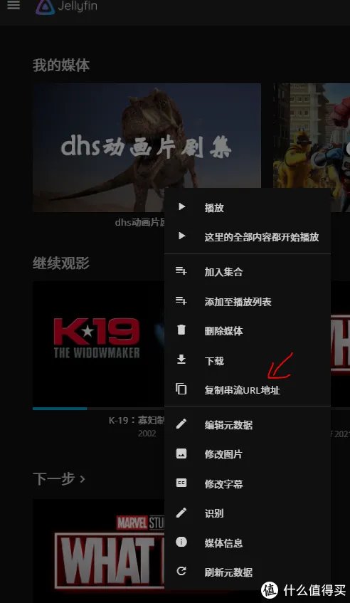 UNRAID折腾记录四：Jellyfin一个免费无广告的私人影视APP