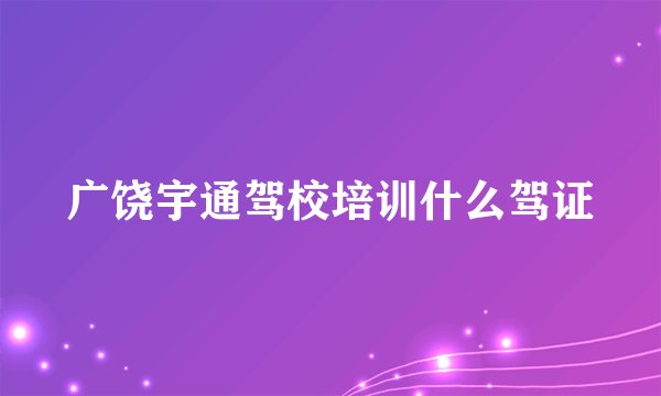 广饶宇通驾校培训什么驾证