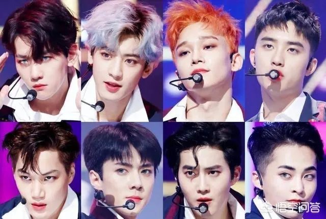 如何评价《学猫叫》这首歌?歌词有哪些含义?