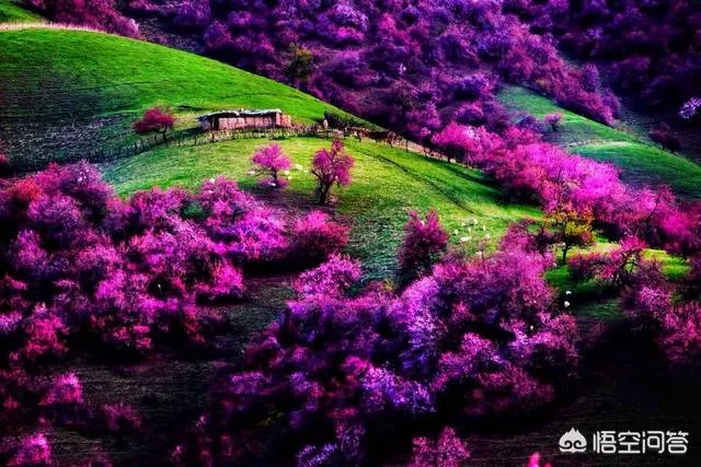 3月份最适合旅游的地方是哪里？