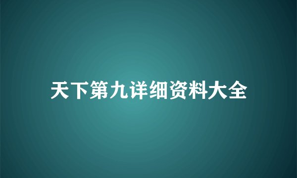 天下第九详细资料大全