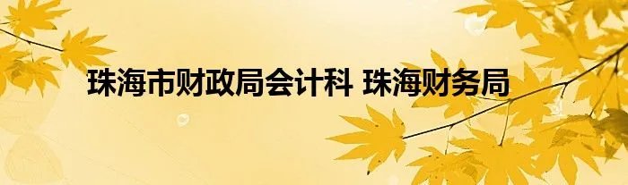 珠海市财政局会计科 珠海财务局